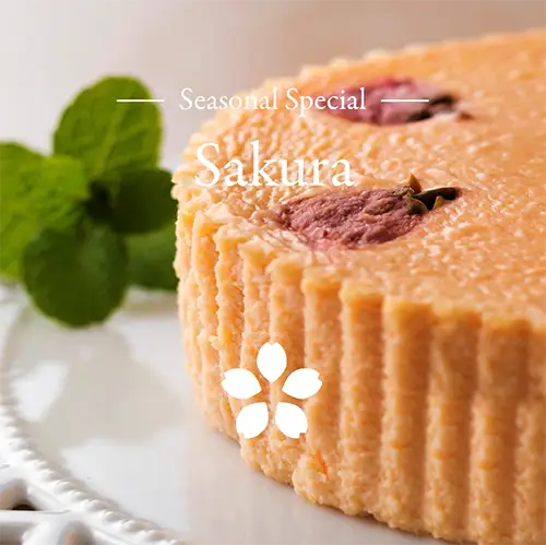 鎌倉山チーズケーキ さくら