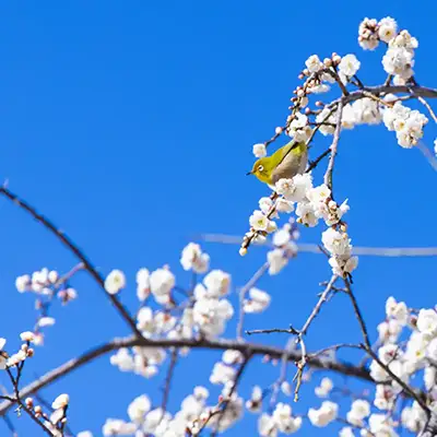 creative@roastbeef イメージ